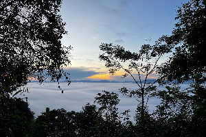 普洱茶區——茶山箐